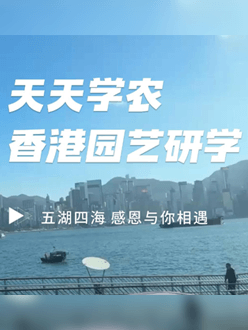 与香港园艺学会联合举办香港园艺研学，专业园境师带队讲解。