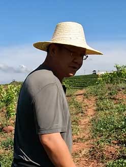 农业人叶涛，50多岁通讯人跨界搞农业，他要用1000万打造一个梦。