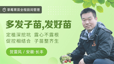 多发子苗，发好苗